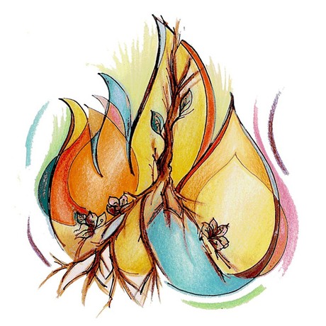 Župne obavijesti: 28. travnja 2013. (5. vazmena ned.)