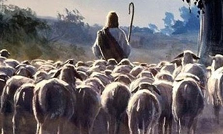 Župne obavijesti: 11. svibnja 2014. (4. vazmena nedjelja)